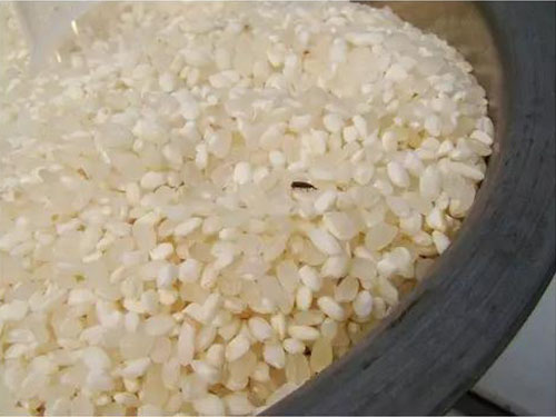 益阳稻谷收购,益阳稻谷储存,益阳稻谷加工,益阳稻谷销售,益阳优质稻开发